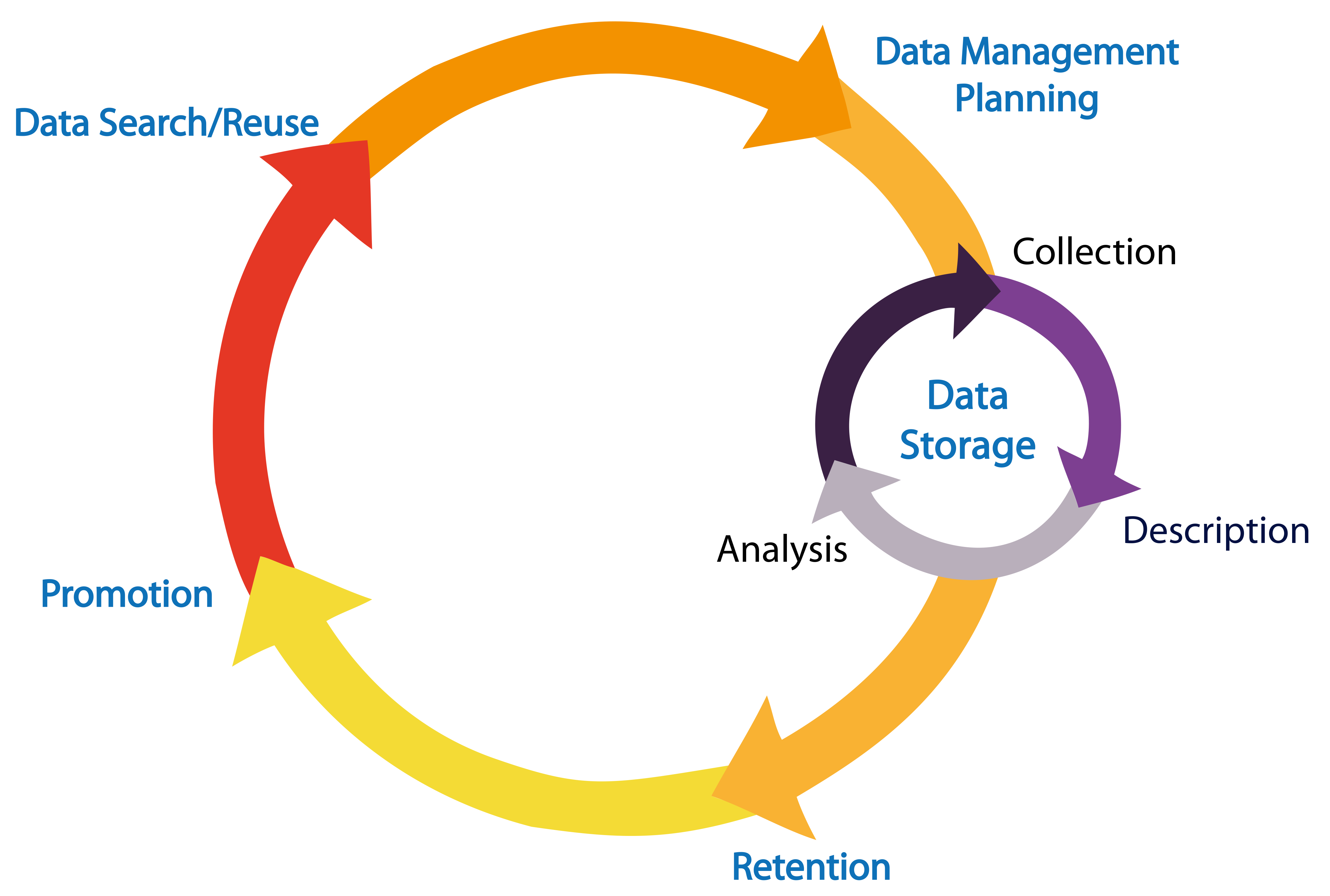 the research data lifecycle